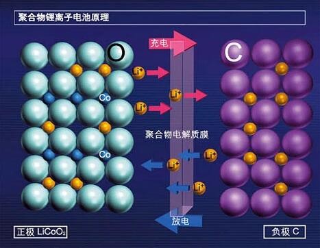 RAYBET雷竞技iOS
工作原理图